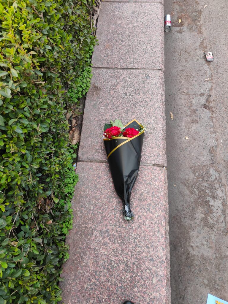 A two-rose bouquet’s musing